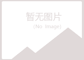 上海金山女孩机械有限公司